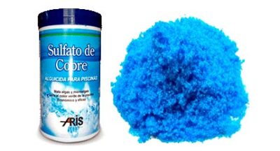 i productos qui micos para piscina 8 e1722964653251