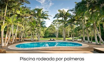 las mejores plantas para su piscina 2