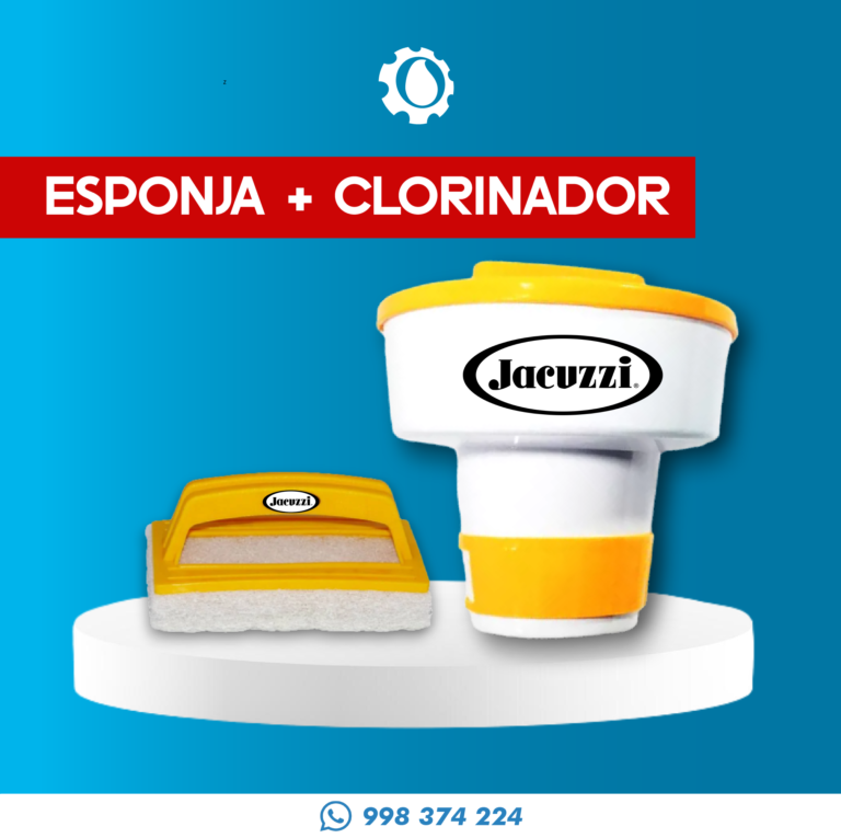 Clorinador y esponja de piscina