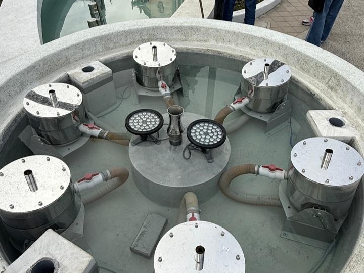 Paz soldan san Isidro